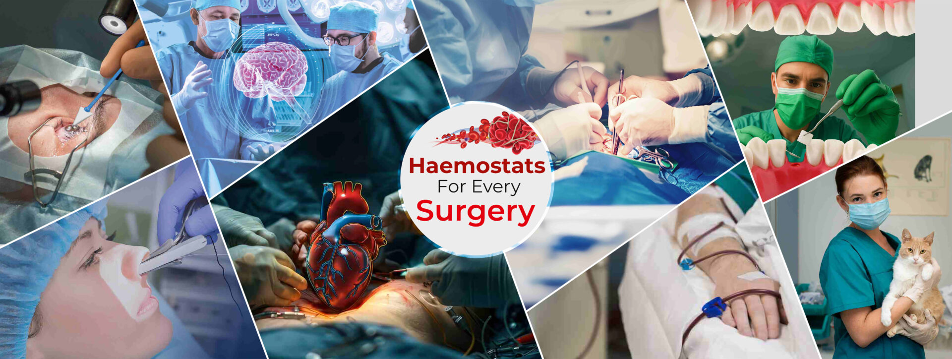 Haemostats for Every Surgery – Aegis Lifesciences Aegis Lifesciences haemostatic solutions for every surgery including neuro, cardiac, ENT, dental, ophthalmic, and veterinary